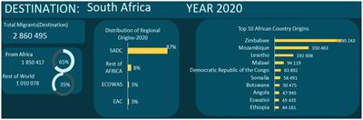 Patterns of inter-state irregular migration in Africa: insights from Ethiopian migrants to the Republic of South Africa